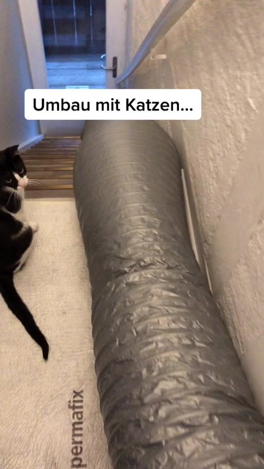 TikTok video thumbnail by monicoyfloren