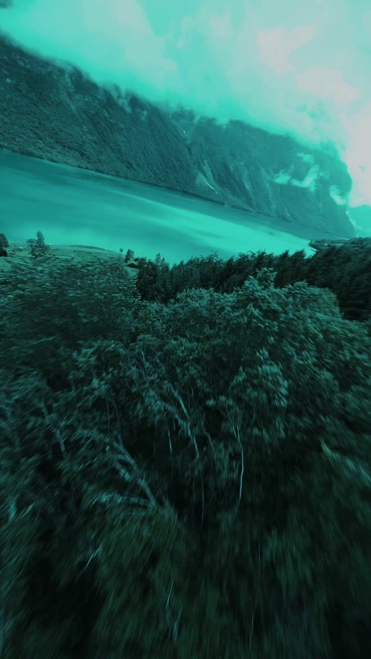 TikTok video thumbnail by song.lyrics.verse