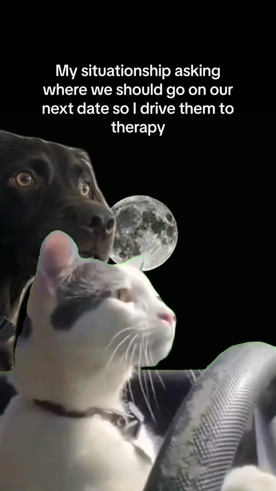 TikTok video thumbnail by puredatingapp