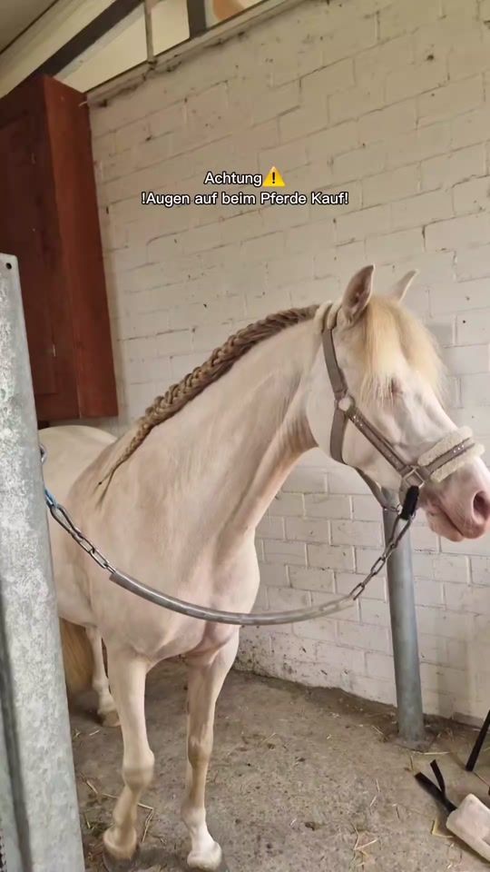 TikTok video thumbnail by missbbaileys