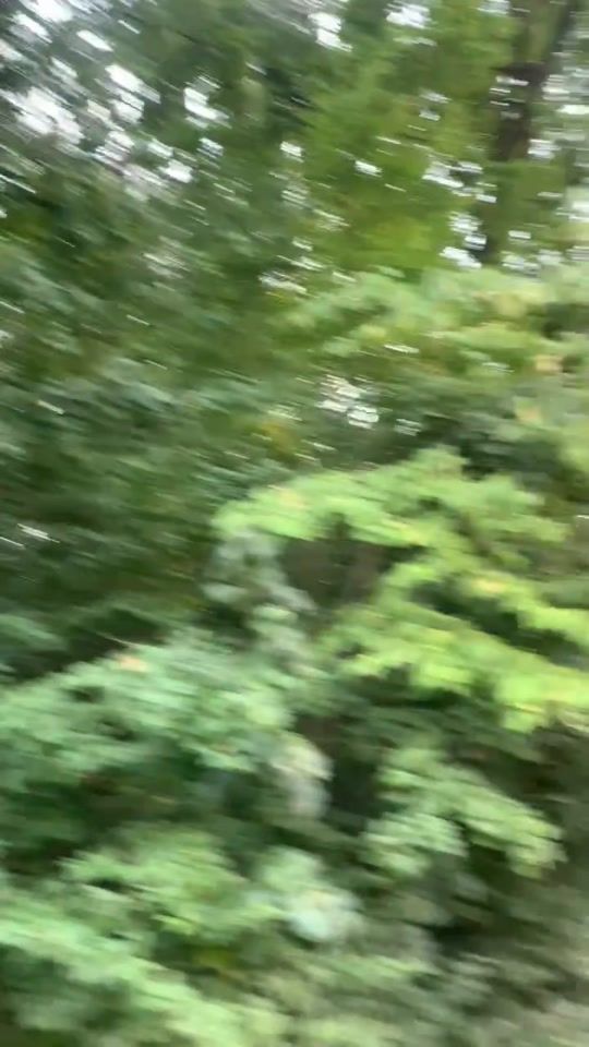 TikTok video thumbnail by florin_nicola11