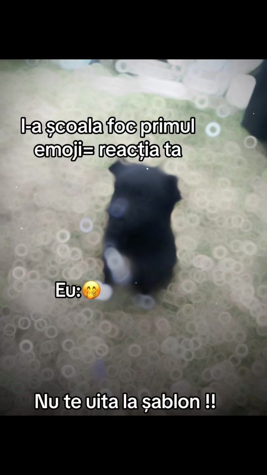 TikTok video thumbnail by silciq