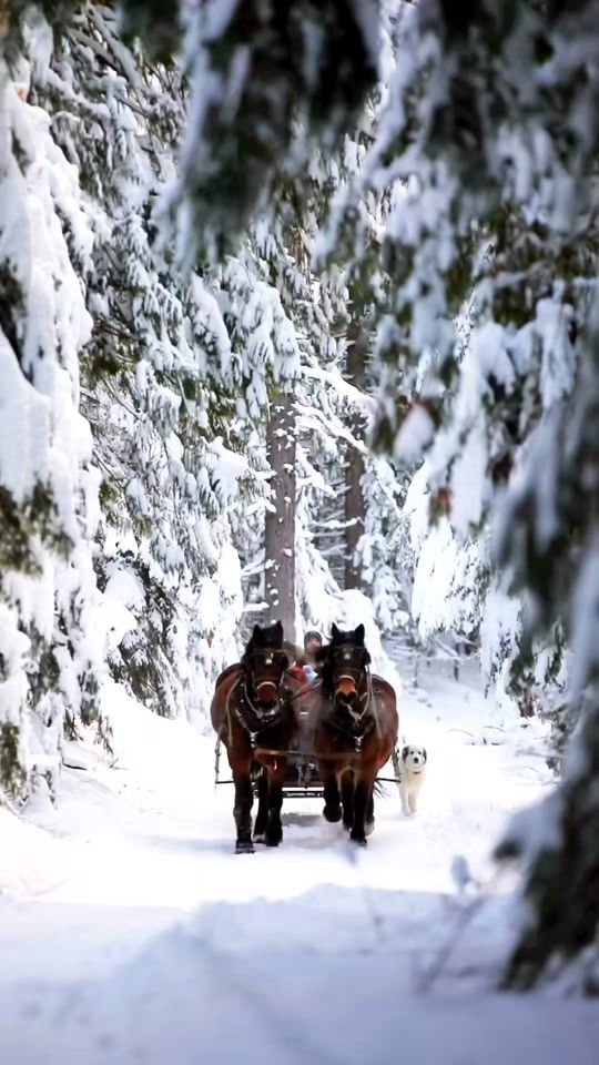 TikTok video thumbnail by queen_of_the_world7