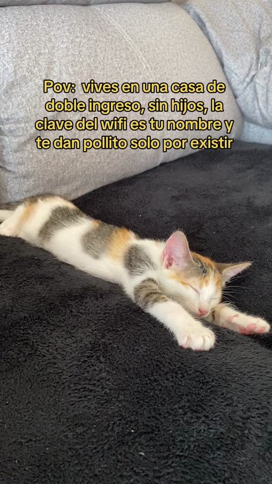 TikTok video thumbnail by alejandraaaaaaa18