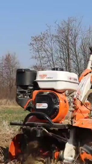 TikTok video thumbnail by marian.cernea96