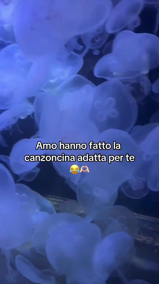 TikTok video thumbnail by emanuela.berlingeri