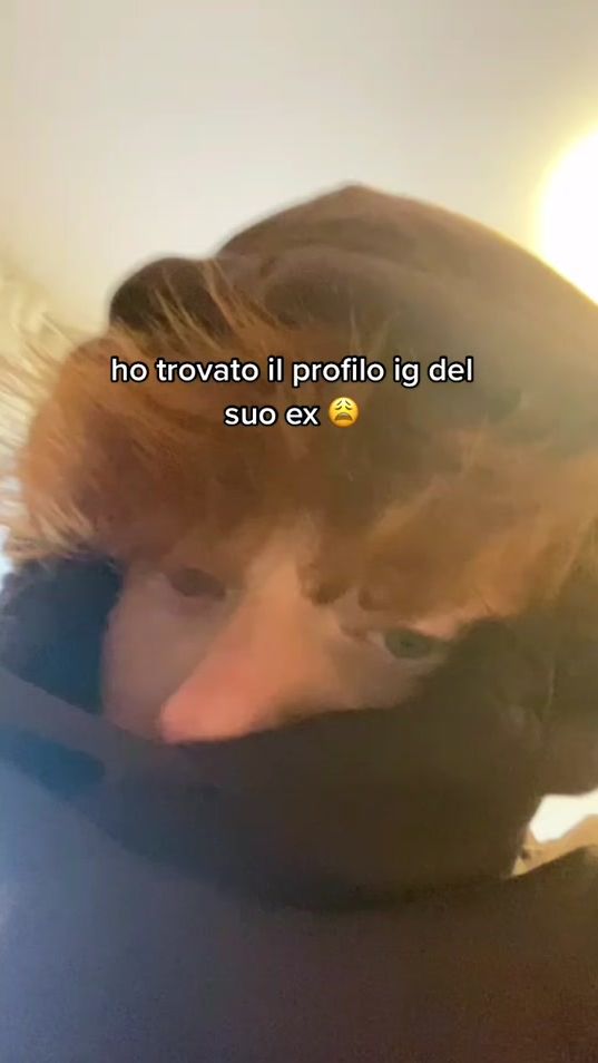 TikTok video thumbnail by babyrossoo