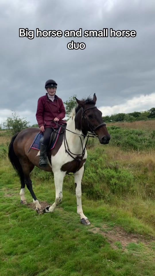 TikTok video thumbnail by darceylaw