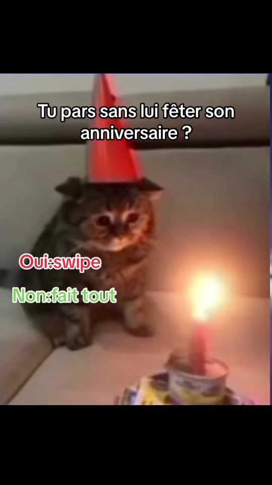 TikTok video thumbnail by introuvable.799