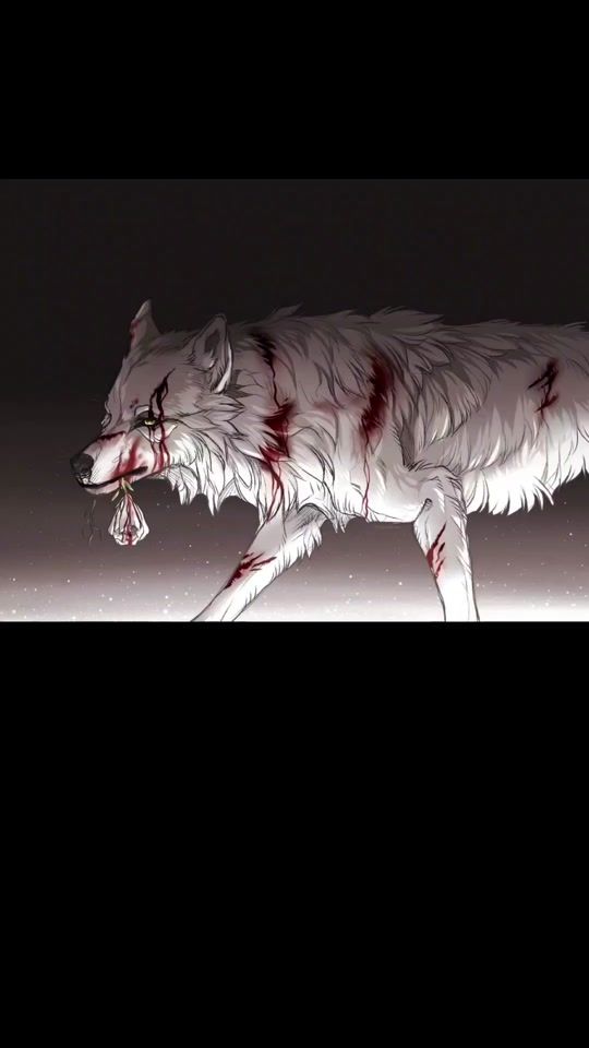TikTok video thumbnail by _akela_the_wolf_