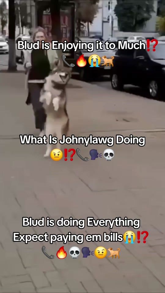 TikTok video thumbnail by nigers280