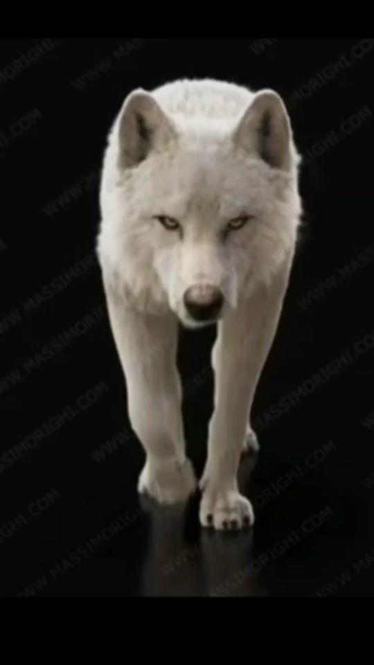 TikTok video thumbnail by reignmotivationofficial