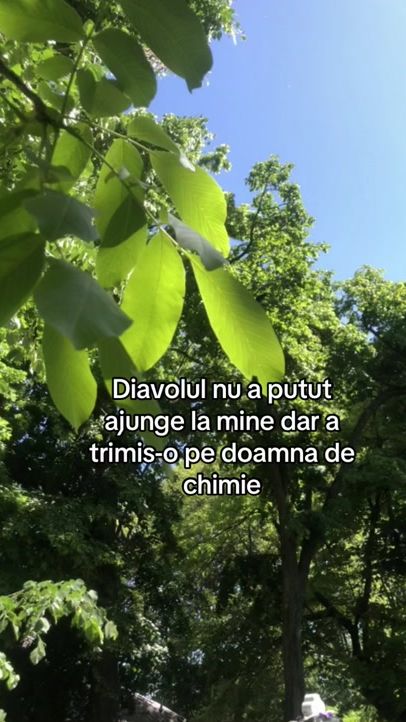TikTok video thumbnail by _aleeeeesssssia_