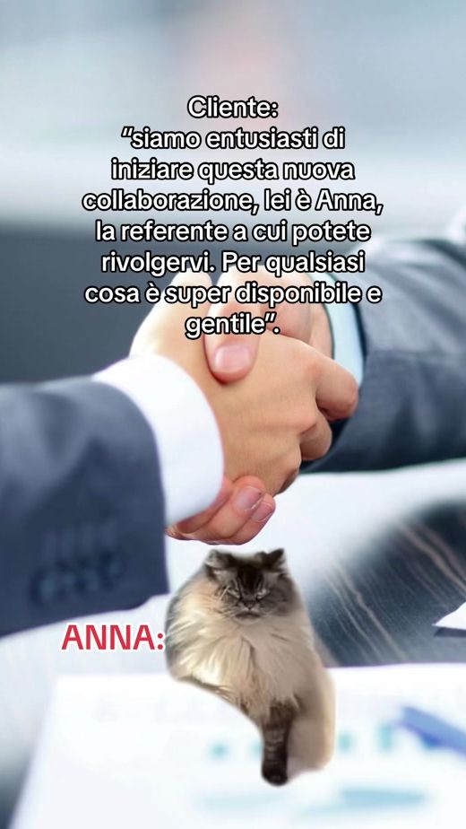 TikTok video thumbnail by socialnamic