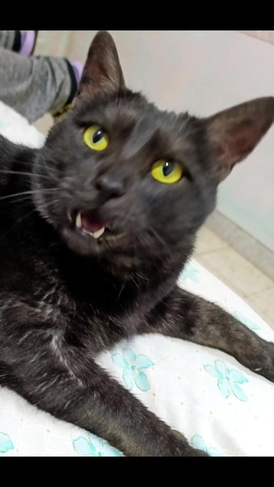 TikTok video thumbnail by roxyworldofficial