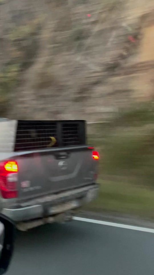 TikTok video thumbnail by adelaideju