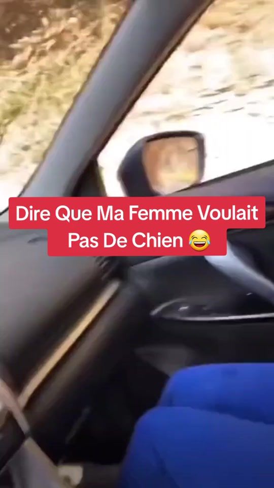 TikTok video thumbnail by avechumourjorisquerien2