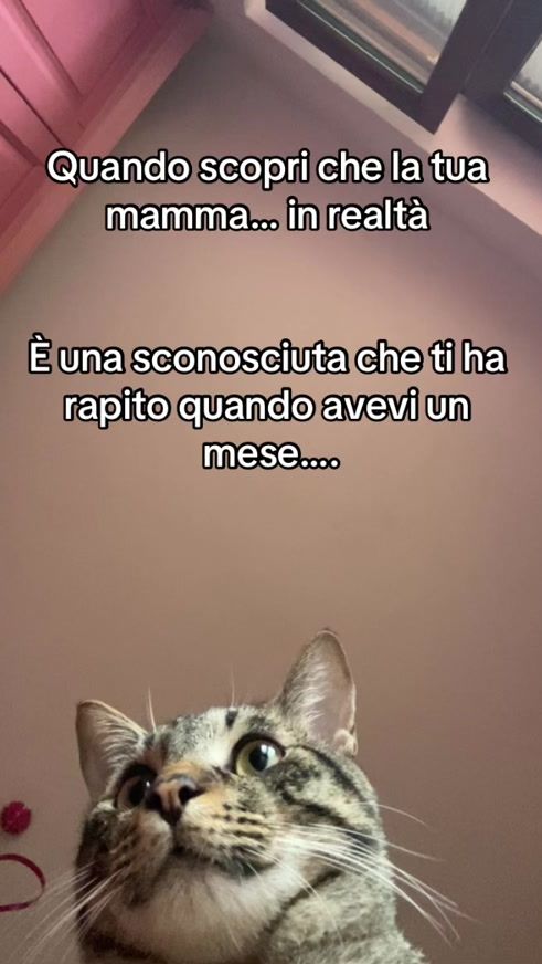 TikTok video thumbnail by simbaandlucifer