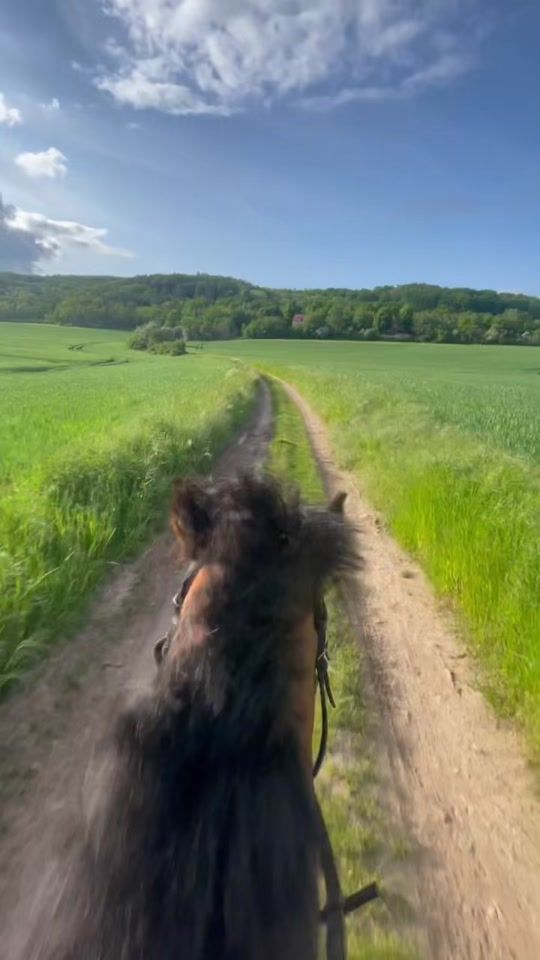 TikTok video thumbnail by loni.mng