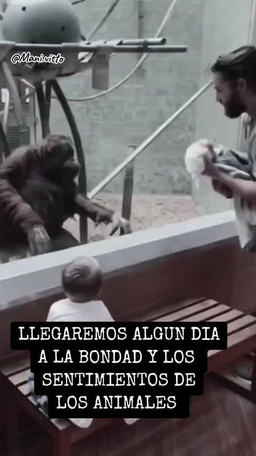 TikTok video thumbnail by mani.vitto