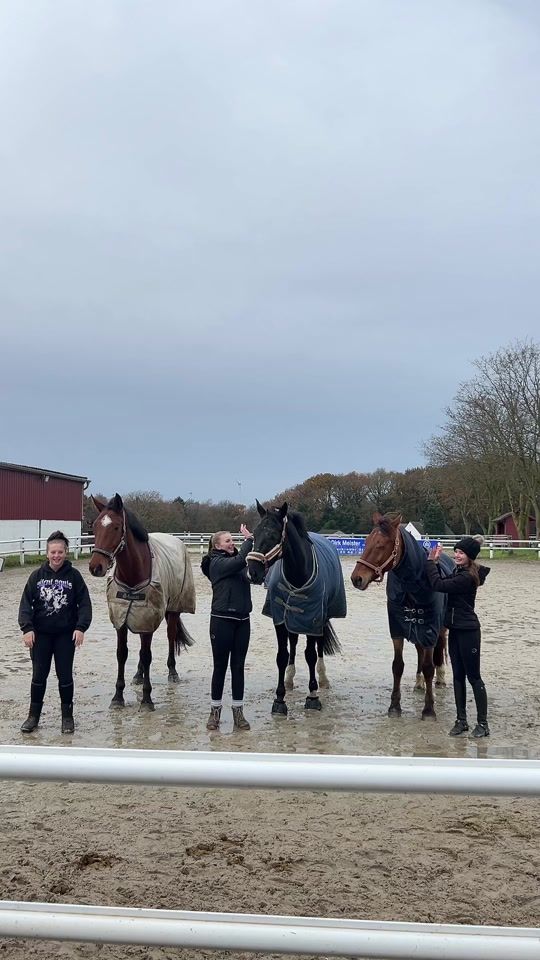 TikTok video thumbnail by mac__horses