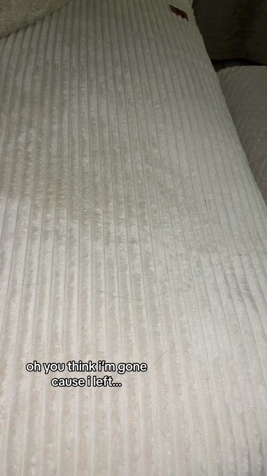 TikTok video thumbnail by reaghardy