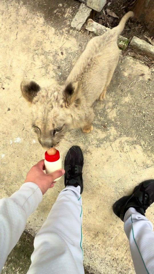 TikTok video thumbnail by couperr17