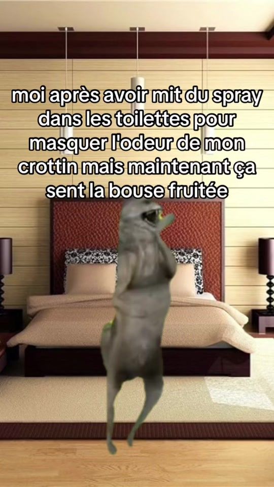 TikTok video thumbnail by incognito635b