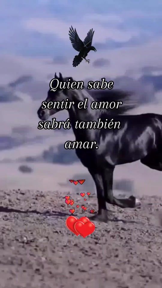 TikTok video thumbnail by el.cuervo_19