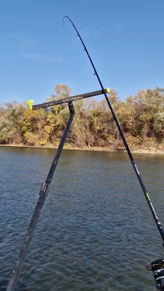 TikTok video thumbnail by feederstyle