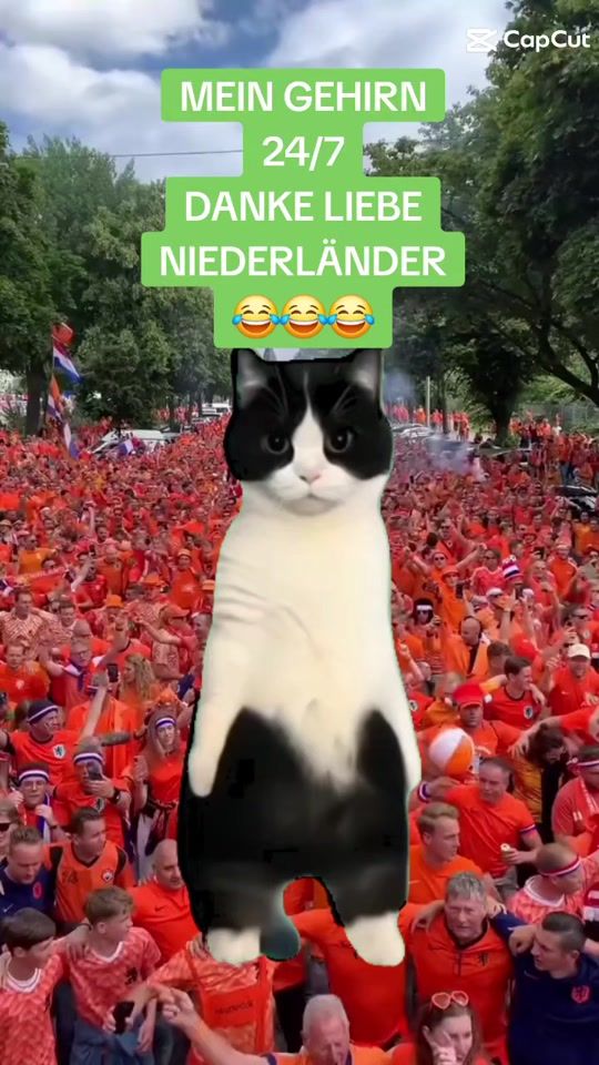 TikTok video thumbnail by nicky2009.0