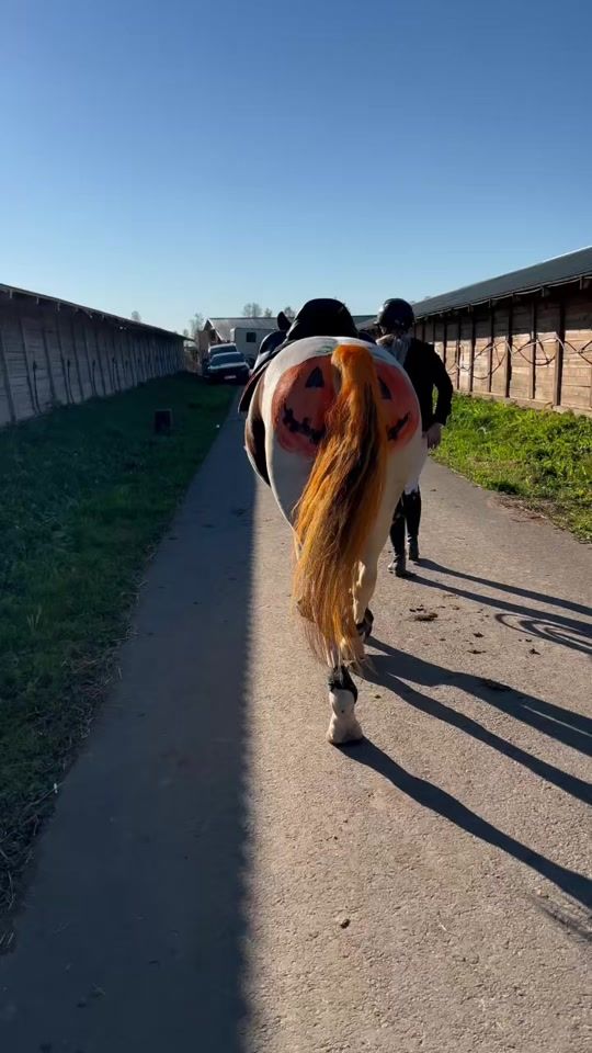 TikTok video thumbnail by birgitadler