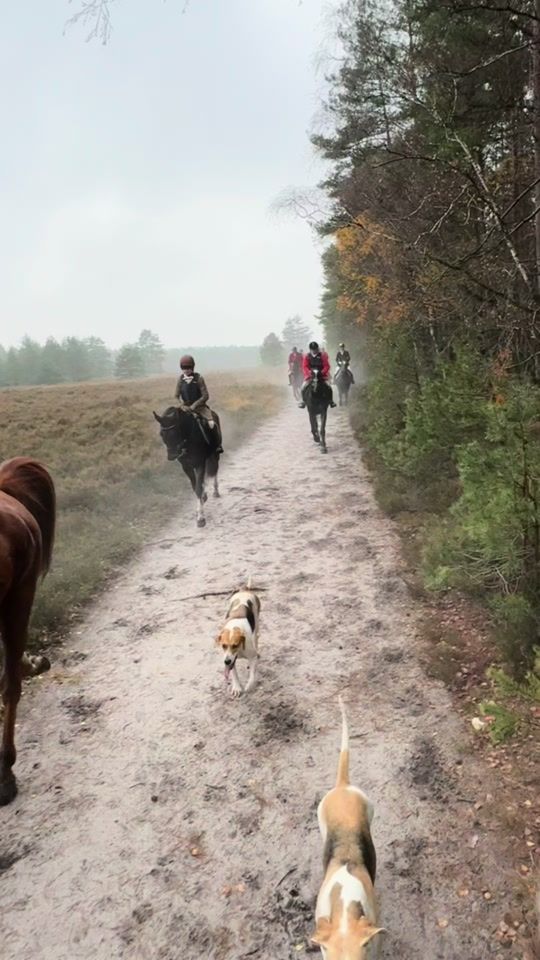 TikTok video thumbnail by oliviaaaimee