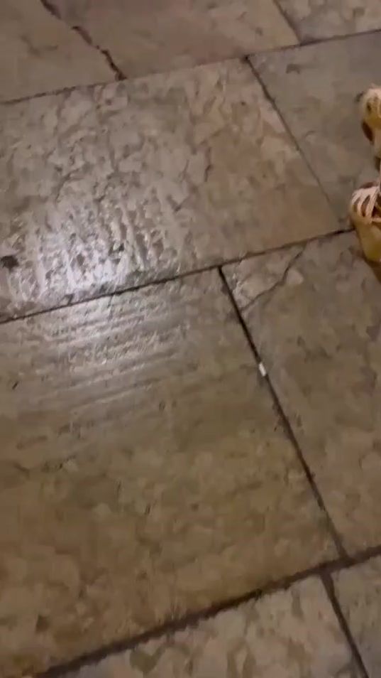 TikTok video thumbnail by rapunzelunica