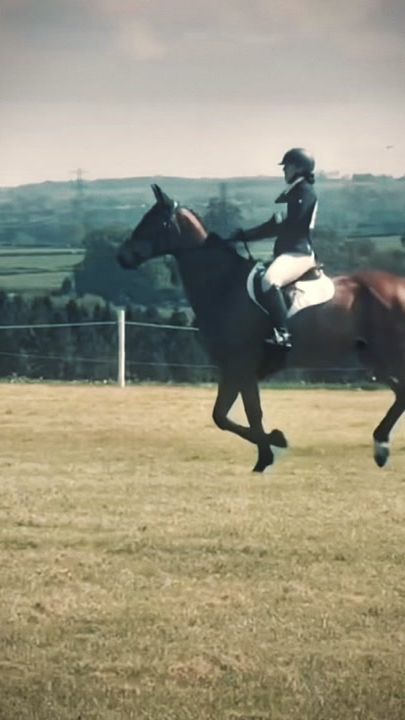 TikTok video thumbnail by lauren_eventinglife