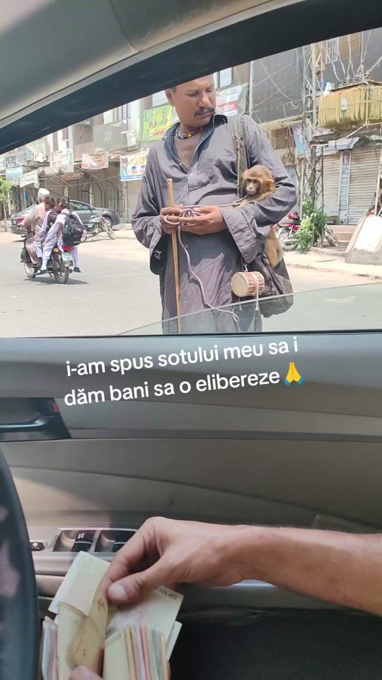 TikTok video thumbnail by romanairfan27