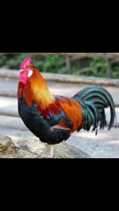 TikTok video thumbnail by kimara2024