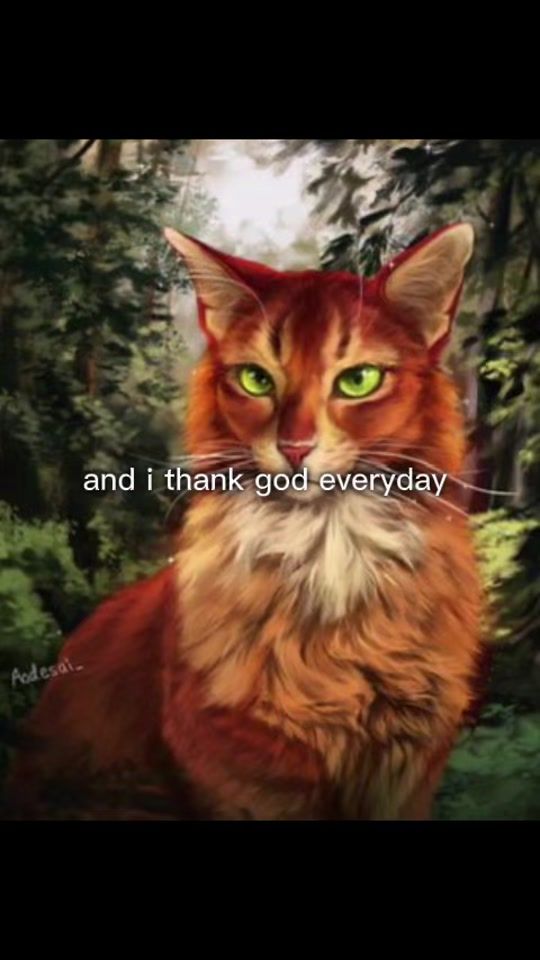 TikTok video thumbnail by warrior_cats20086