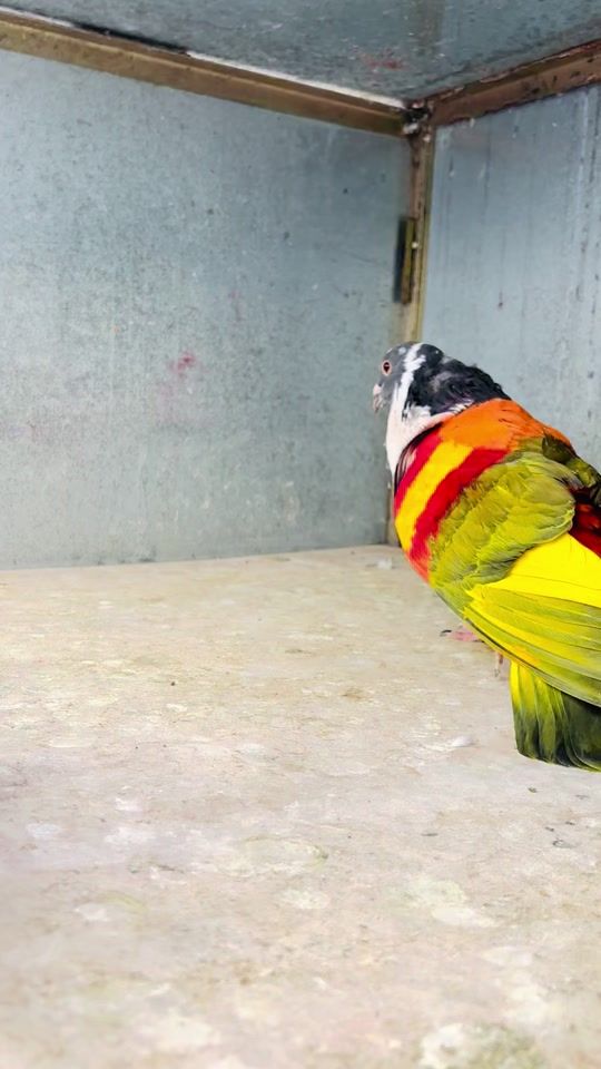 TikTok video thumbnail by diegosantiago_98