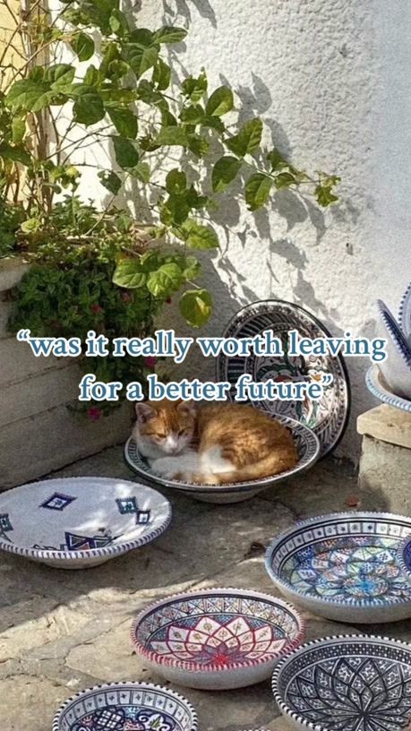 TikTok video thumbnail by randommqq32