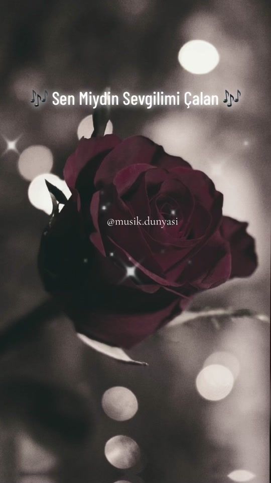 TikTok video thumbnail by musik.dunyasi