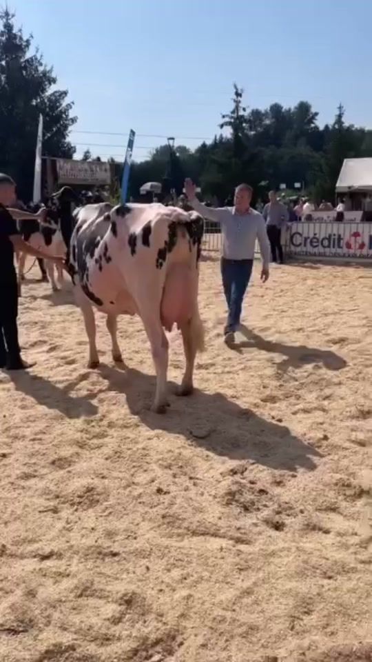 TikTok video thumbnail by marcriche