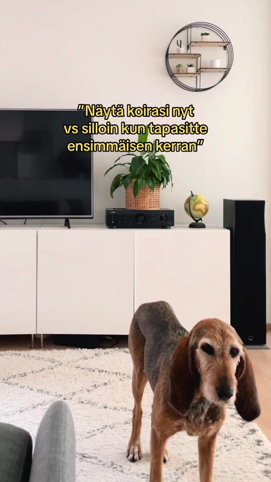 TikTok video thumbnail by sitasalminen