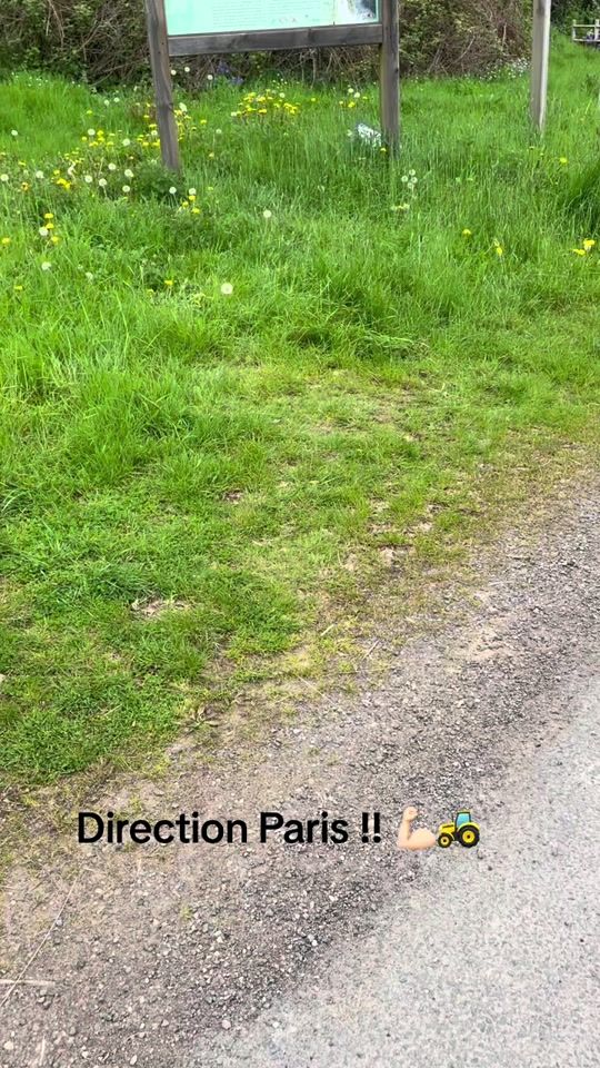 TikTok video thumbnail by lukasandco