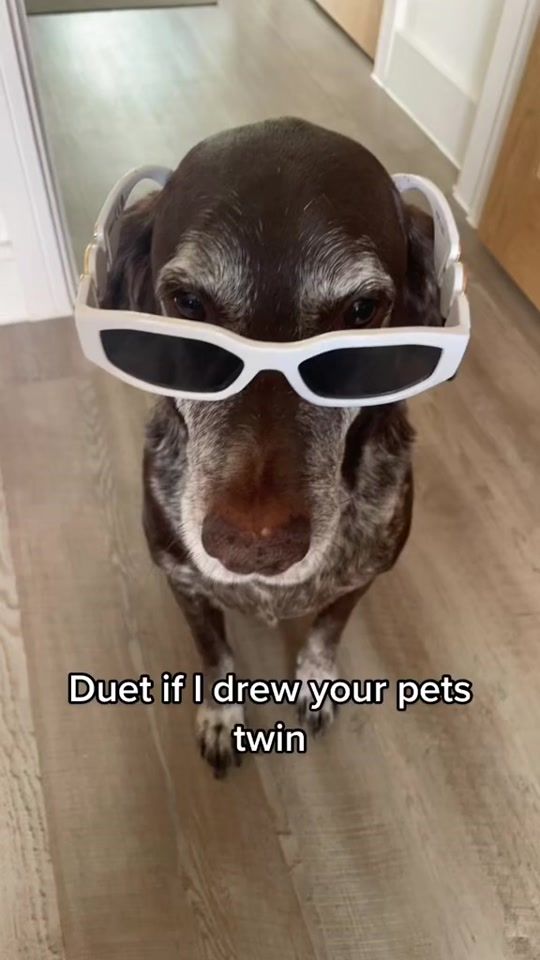 TikTok video thumbnail by tattoosbyzoe