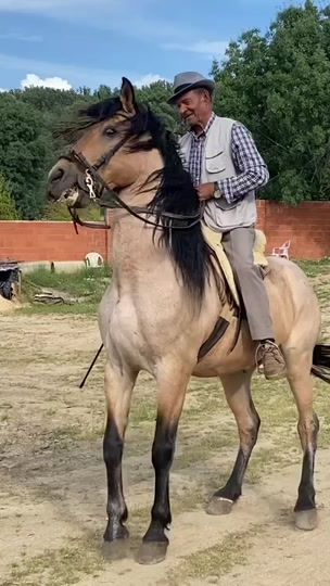 TikTok video thumbnail by yeguadamaya