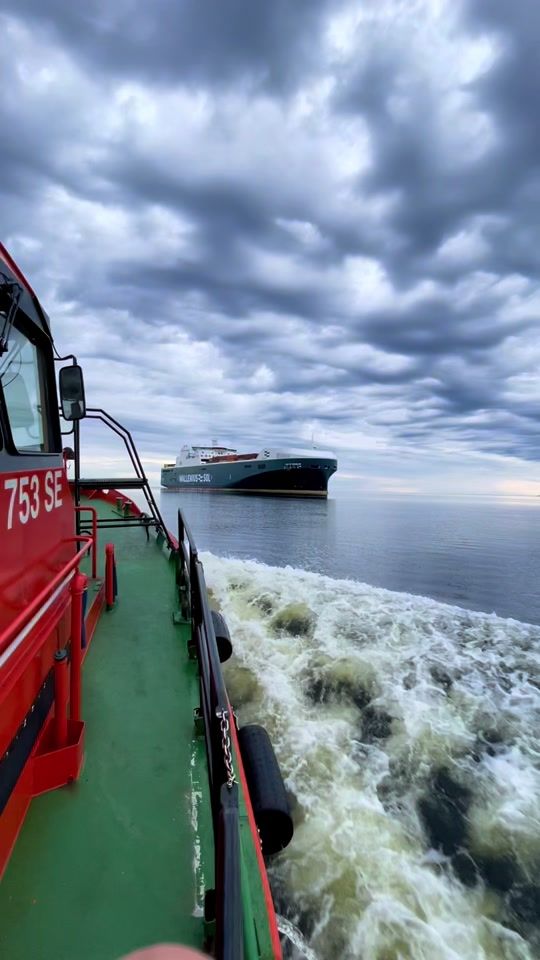 TikTok video thumbnail by mikaelmartling