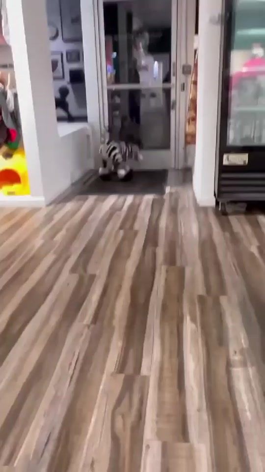 TikTok video thumbnail by quemcuidaama