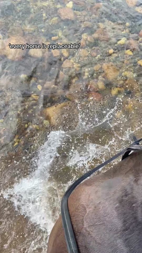 TikTok video thumbnail by mollymaraa