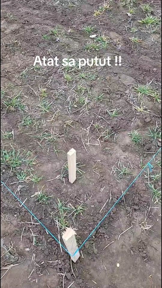 TikTok video thumbnail by marian.b31